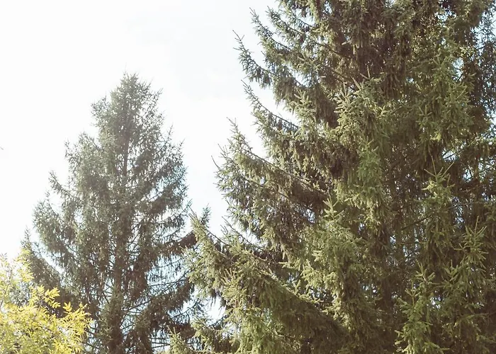 Retro Mobilehome Fanfare Woltzdal Appartement *